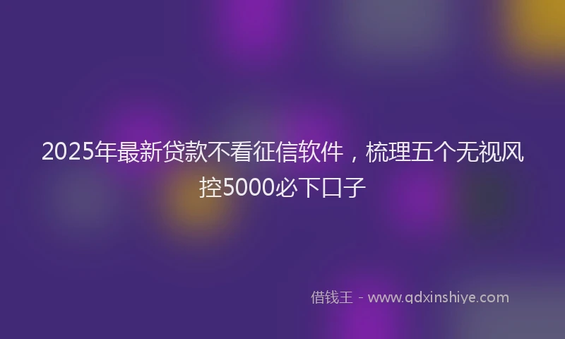 2025年最新贷款不看征信软件，梳理五个无视风控5000必下口子