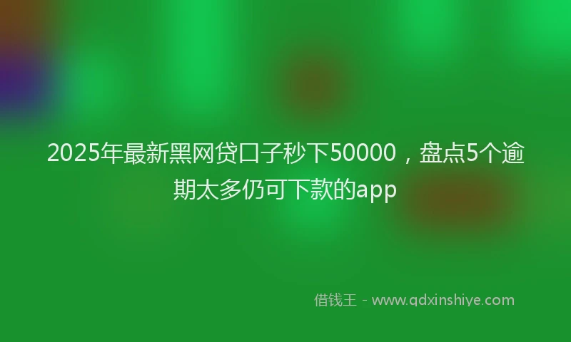 2025年最新黑网贷口子秒下50000，盘点5个逾期太多仍可下款的app