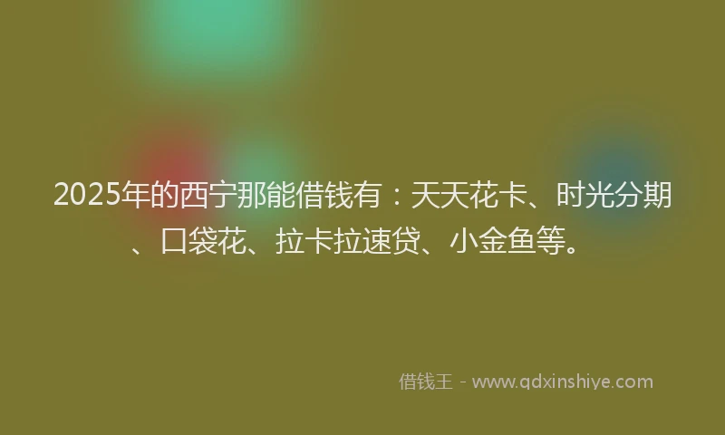 2025年的西宁那能借钱有：天天花卡、时光分期、口袋花、拉卡拉速贷、小金鱼等。