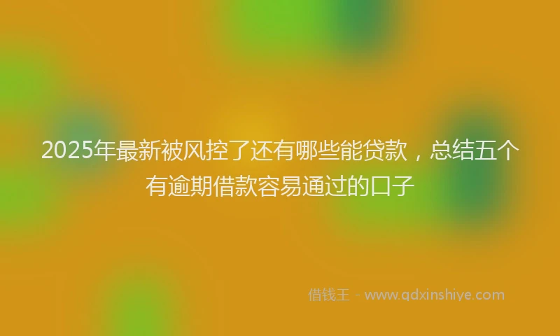 2025年最新被风控了还有哪些能贷款，总结五个有逾期借款容易通过的口子