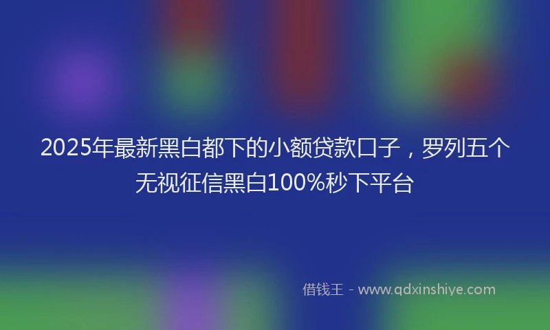 2025年最新黑白都下的小额贷款口子，罗列五个无视征信黑白100%秒下平台
