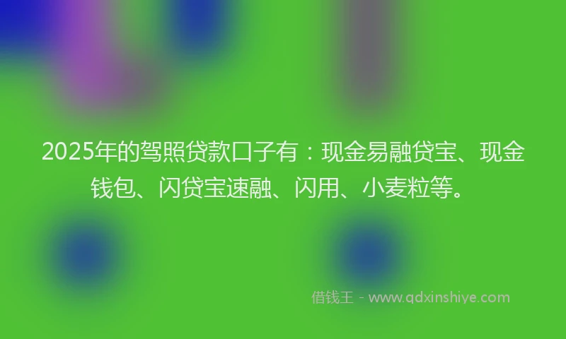 2025年的驾照贷款口子有：现金易融贷宝、现金钱包、闪贷宝速融、闪用、小麦粒等。