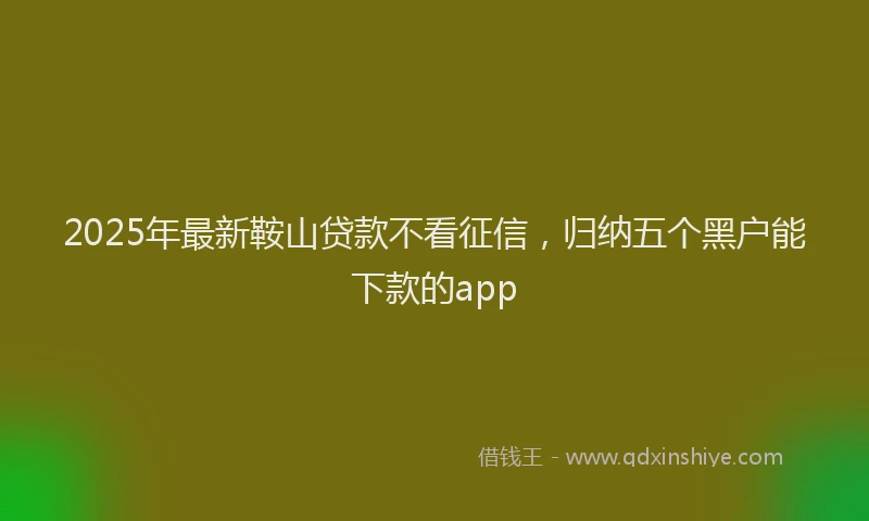 2025年最新鞍山贷款不看征信，归纳五个黑户能下款的app