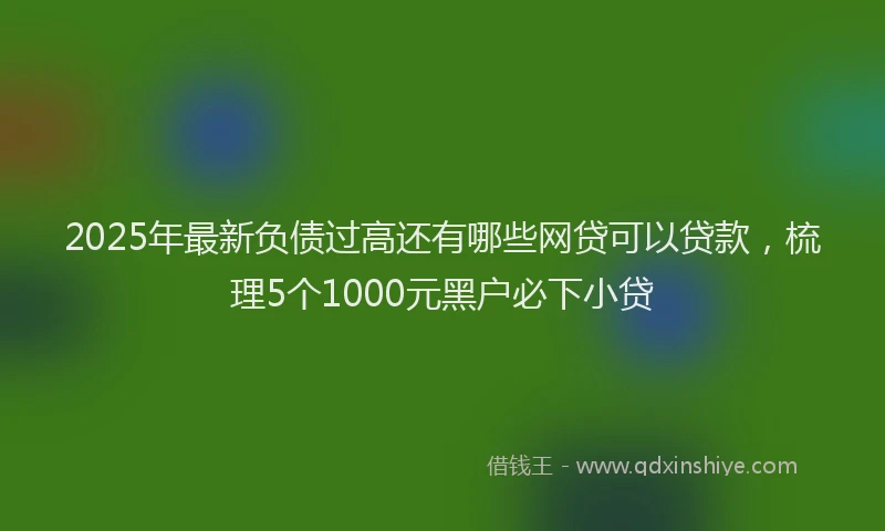 2025年最新负债过高还有哪些网贷可以贷款，梳理5个1000元黑户必下小贷
