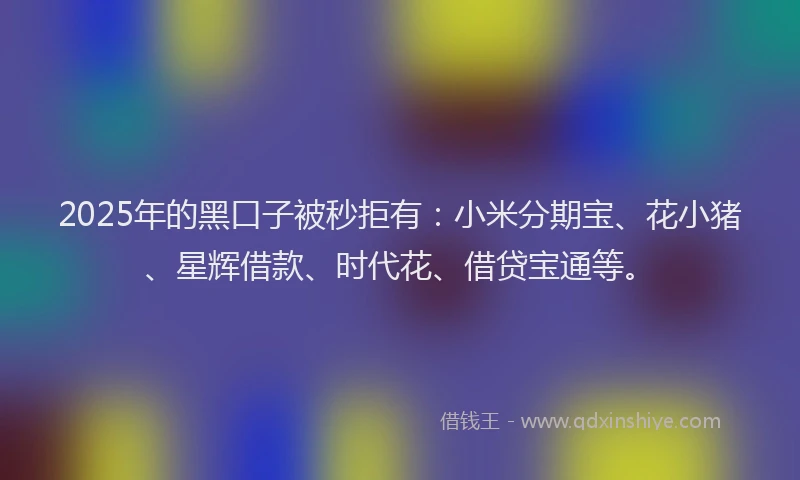 2025年的黑口子被秒拒有：小米分期宝、花小猪、星辉借款、时代花、借贷宝通等。