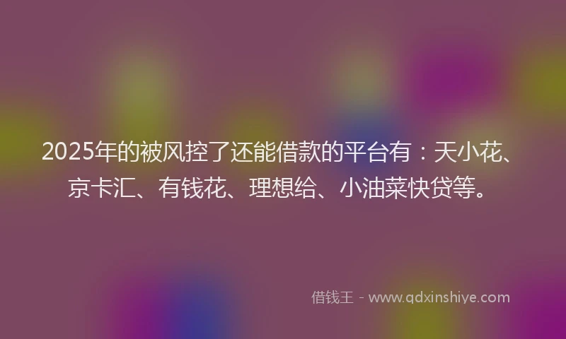 2025年的被风控了还能借款的平台有：天小花、京卡汇、有钱花、理想给、小油菜快贷等。