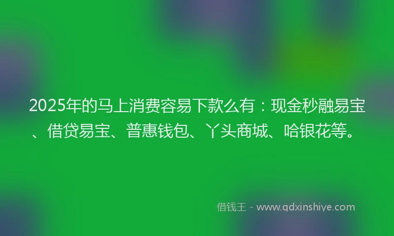 2025年的马上消费容易下款么有：现金秒融易宝、借贷易宝、普惠钱包、丫头商城、哈银花等。