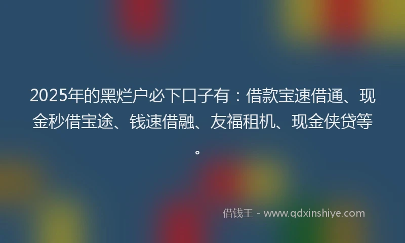 2025年的黑烂户必下口子有：借款宝速借通、现金秒借宝途、钱速借融、友福租机、现金侠贷等。