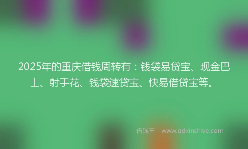 2025年的重庆借钱周转有：钱袋易贷宝、现金巴士、射手花、钱袋速贷宝、快易借贷宝等。