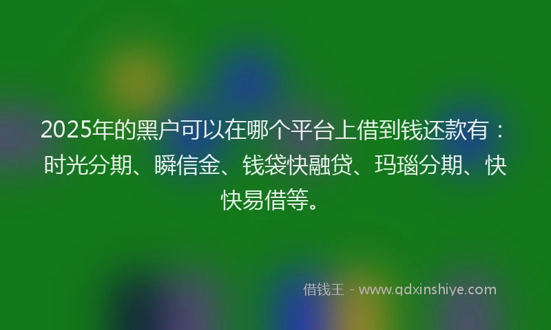 2025年的黑户可以在哪个平台上借到钱还款有：时光分期、瞬信金、钱袋快融贷、玛瑙分期、快快易借等。