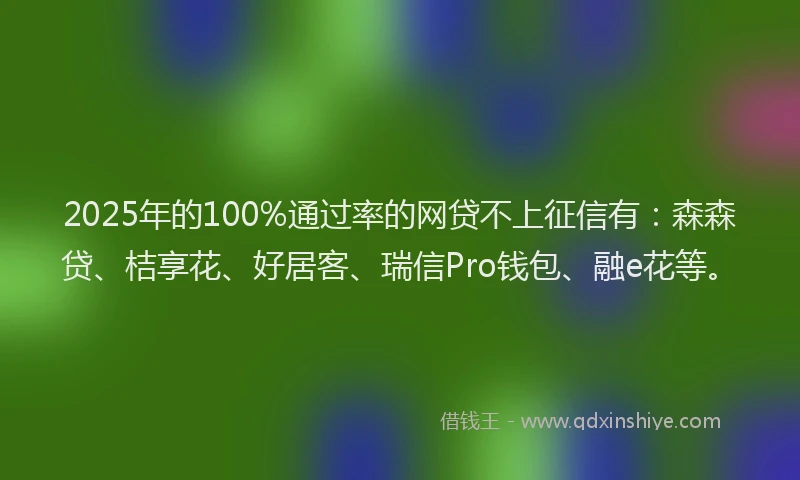 2025年的100%通过率的网贷不上征信有：森森贷、桔享花、好居客、瑞信Pro钱包、融e花等。