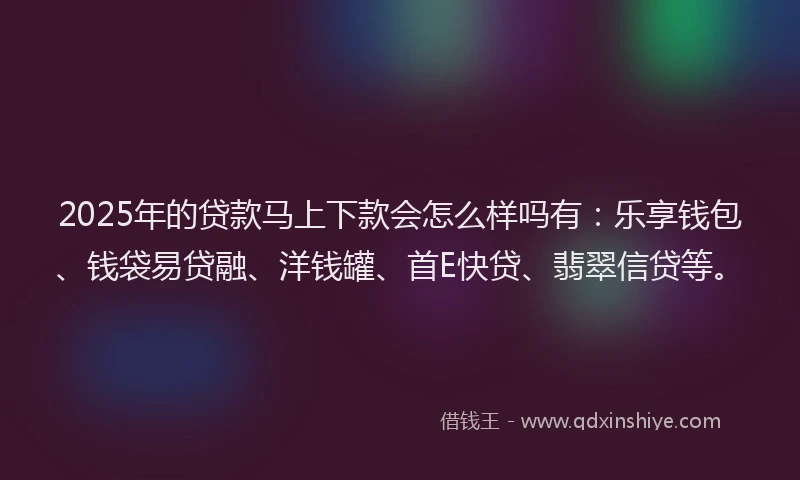 2025年的贷款马上下款会怎么样吗有：乐享钱包、钱袋易贷融、洋钱罐、首E快贷、翡翠信贷等。
