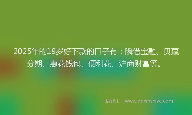 2025年的19岁好下款的口子有：瞬借宝融、贝赢分期、惠花钱包、便利花、沪商财富等。
