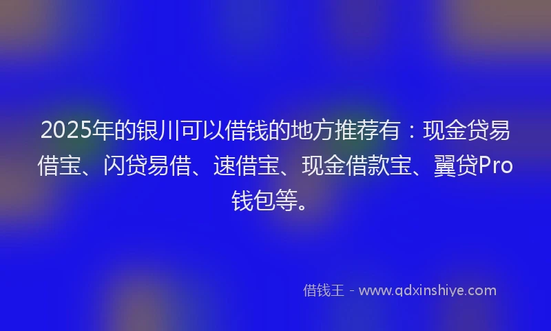 2025年的银川可以借钱的地方推荐有：现金贷易借宝、闪贷易借、速借宝、现金借款宝、翼贷Pro钱包等。