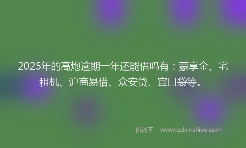 2025年的高炮逾期一年还能借吗有：蒙享金、宅租机、沪商易借、众安贷、宜口袋等。