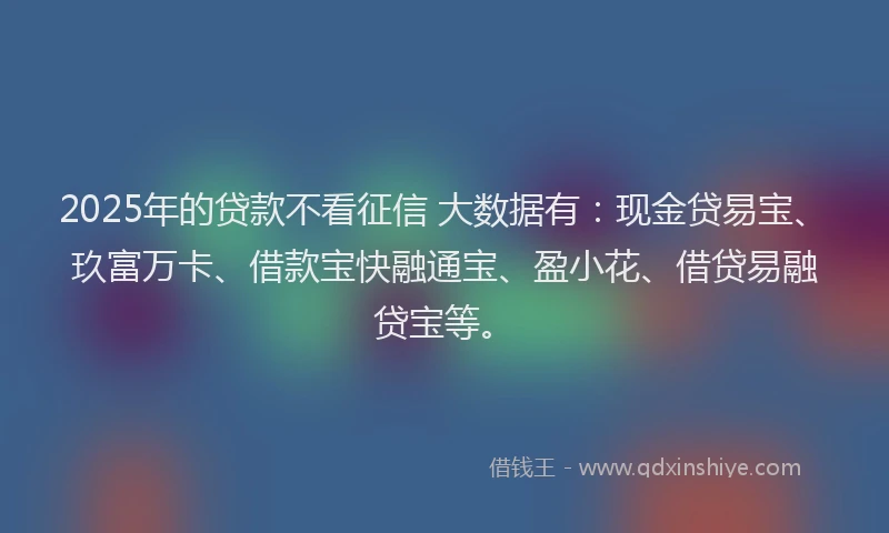 2025年的贷款不看征信 大数据有：现金贷易宝、玖富万卡、借款宝快融通宝、盈小花、借贷易融贷宝等。