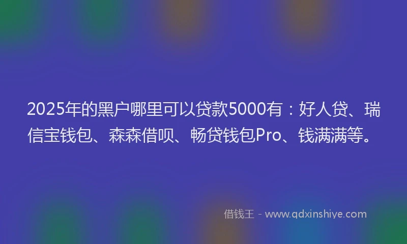 2025年的黑户哪里可以贷款5000有：好人贷、瑞信宝钱包、森森借呗、畅贷钱包Pro、钱满满等。