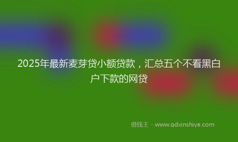 2025年最新麦芽贷小额贷款，汇总五个不看黑白户下款的网贷