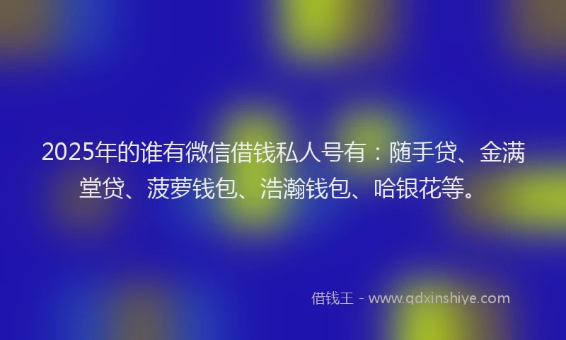 2025年的谁有微信借钱私人号有：随手贷、金满堂贷、菠萝钱包、浩瀚钱包、哈银花等。