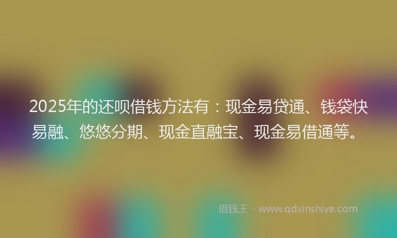 2025年的还呗借钱方法有：现金易贷通、钱袋快易融、悠悠分期、现金直融宝、现金易借通等。