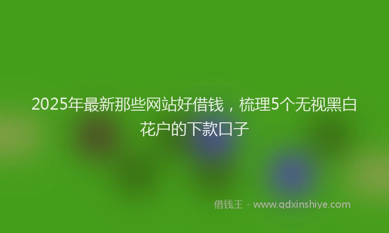 2025年最新那些网站好借钱，梳理5个无视黑白花户的下款口子