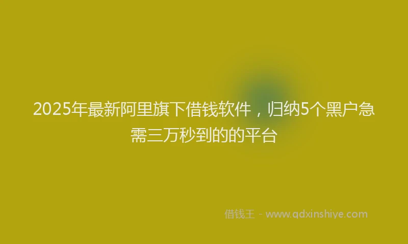 2025年最新阿里旗下借钱软件，归纳5个黑户急需三万秒到的的平台