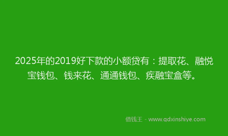 2025年的2019好下款的小额贷有：提取花、融悦宝钱包、钱来花、通通钱包、疾融宝盒等。