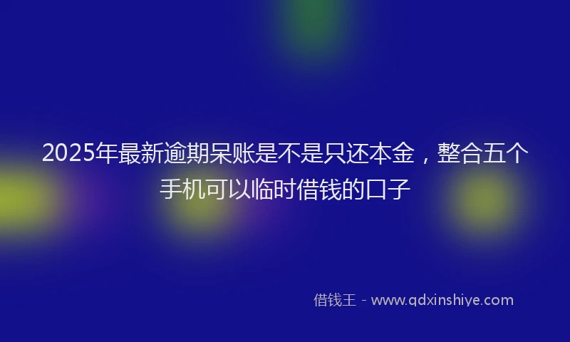 2025年最新逾期呆账是不是只还本金，整合五个手机可以临时借钱的口子