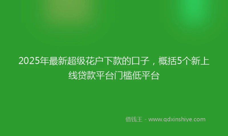 2025年最新超级花户下款的口子，概括5个新上线贷款平台门槛低平台