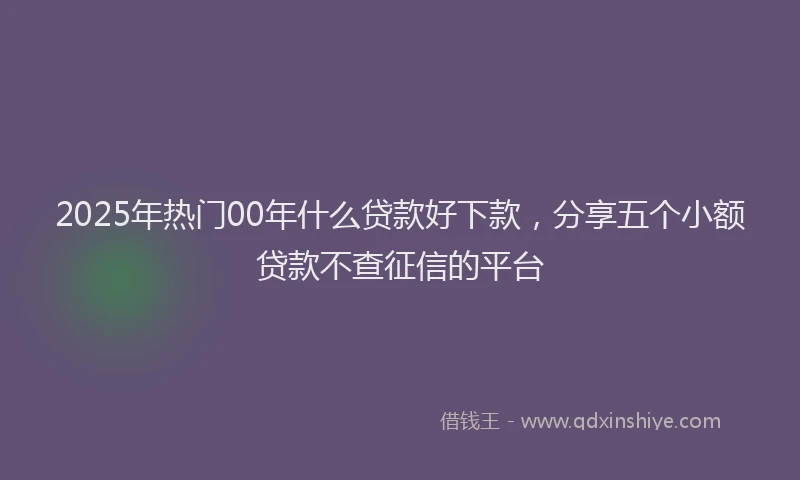 2025年热门00年什么贷款好下款，分享五个小额贷款不查征信的平台