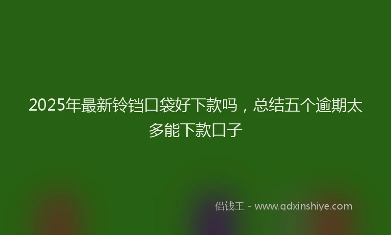 2025年最新铃铛口袋好下款吗，总结五个逾期太多能下款口子