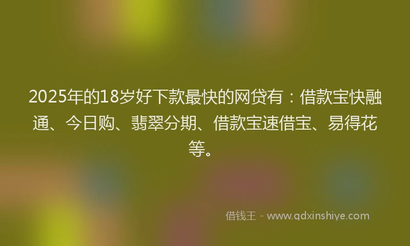 2025年的18岁好下款最快的网贷有：借款宝快融通、今日购、翡翠分期、借款宝速借宝、易得花等。