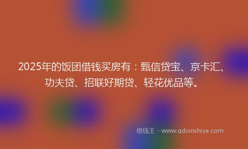 2025年的饭团借钱买房有:甄信贷宝、京卡汇、功夫贷、招联好期贷、轻花优品等。