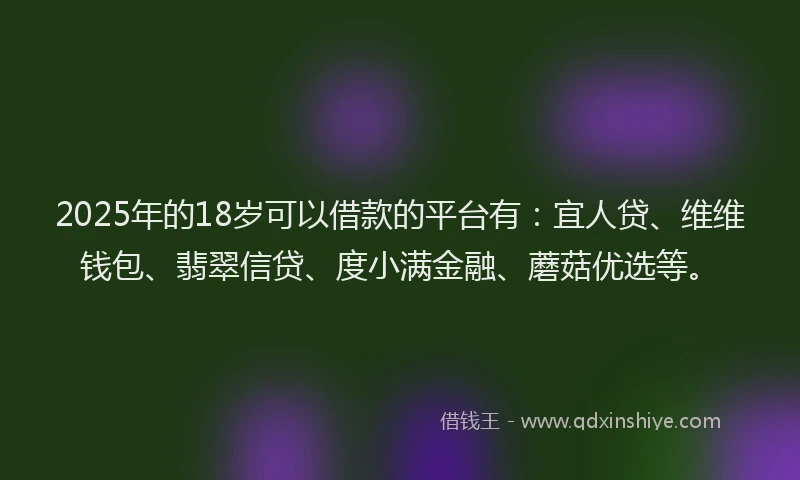2025年的18岁可以借款的平台有：宜人贷、维维钱包、翡翠信贷、度小满金融、蘑菇优选等。