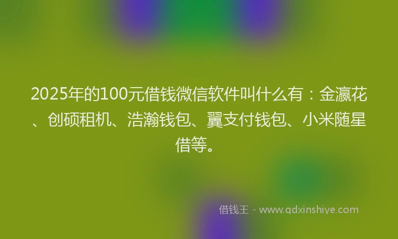 2025年的100元借钱微信软件叫什么有:金瀛花、创硕租机、浩瀚钱包、翼支付钱包、小米随星借等。
