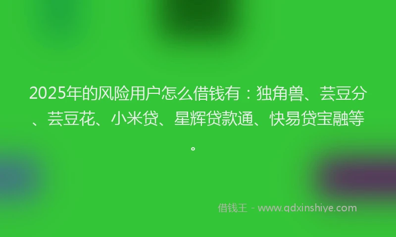 2025年的风险用户怎么借钱有：独角兽、芸豆分、芸豆花、小米贷、星辉贷款通、快易贷宝融等。