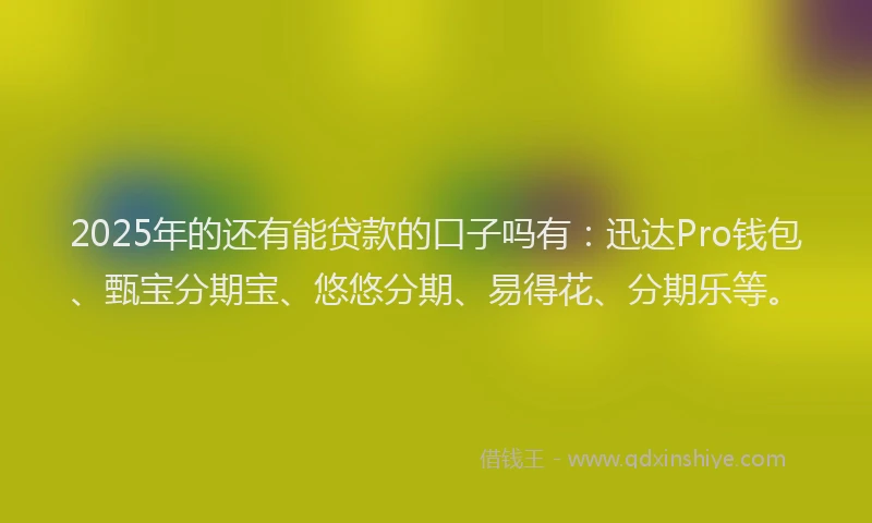 2025年的还有能贷款的口子吗有：迅达Pro钱包、甄宝分期宝、悠悠分期、易得花、分期乐等。