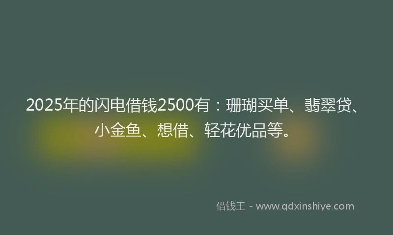 2025年的闪电借钱2500有：珊瑚买单、翡翠贷、小金鱼、想借、轻花优品等。