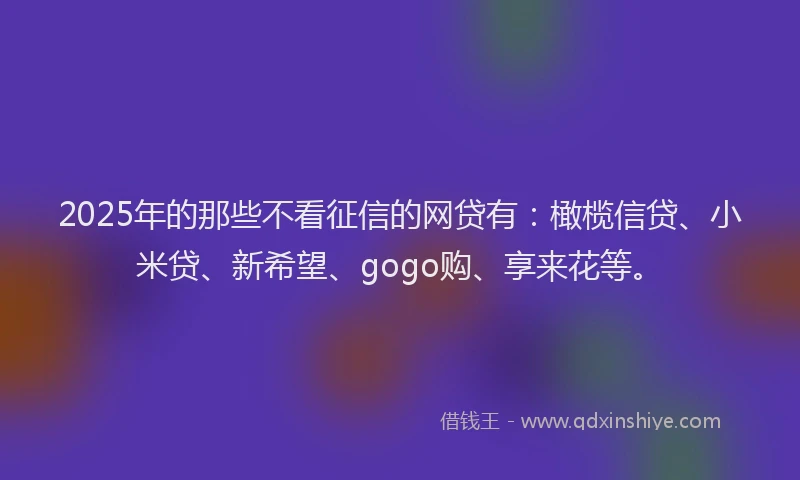 2025年的那些不看征信的网贷有：橄榄信贷、小米贷、新希望、gogo购、享来花等。