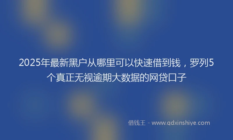 2025年最新黑户从哪里可以快速借到钱，罗列5个真正无视逾期大数据的网贷口子