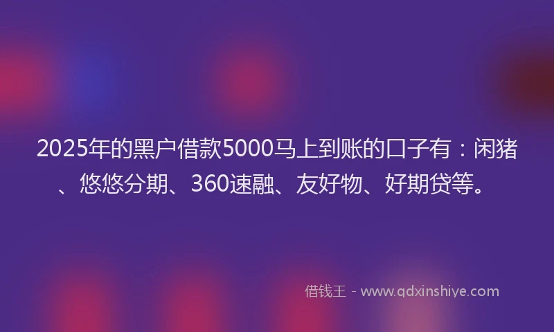 2025年的黑户借款5000马上到账的口子有：闲猪、悠悠分期、360速融、友好物、好期贷等。