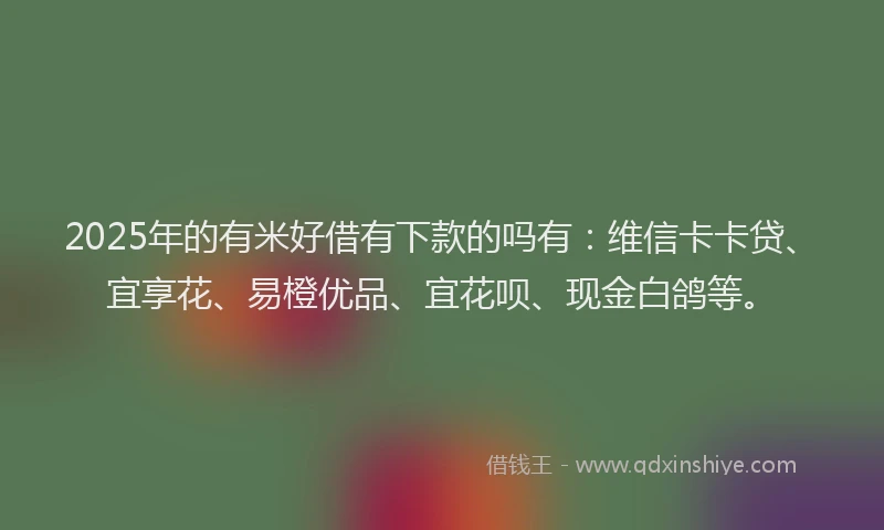 2025年的有米好借有下款的吗有：维信卡卡贷、宜享花、易橙优品、宜花呗、现金白鸽等。