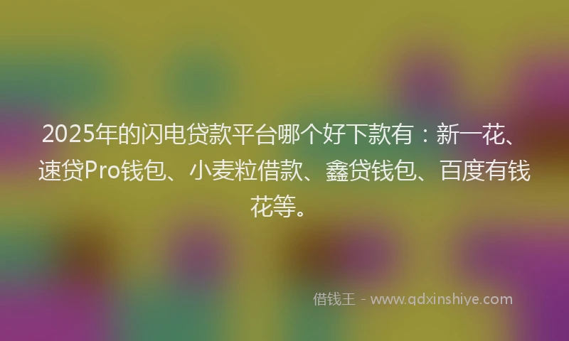 2025年的闪电贷款平台哪个好下款有：新一花、速贷Pro钱包、小麦粒借款、鑫贷钱包、百度有钱花等。