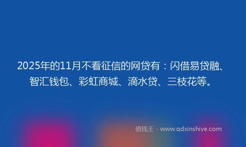 2025年的11月不看征信的网贷有：闪借易贷融、智汇钱包、彩虹商城、滴水贷、三枝花等。
