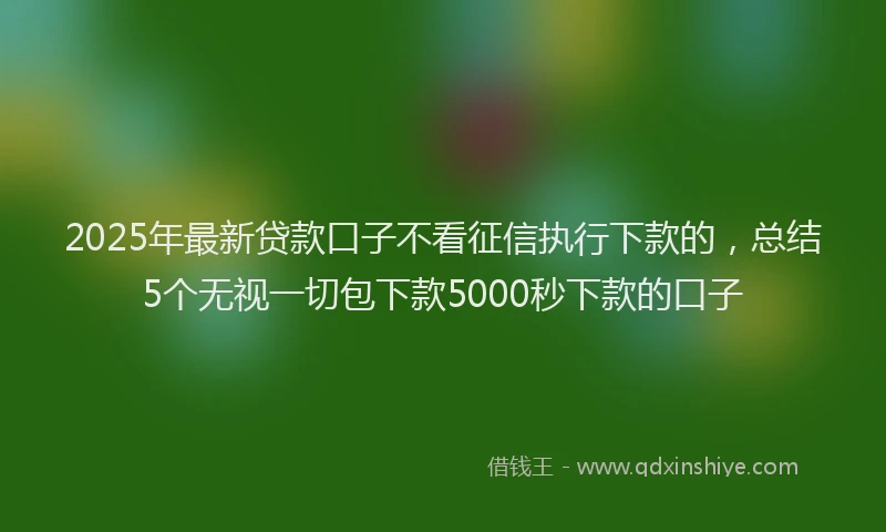 2025年最新贷款口子不看征信执行下款的，总结5个无视一切包下款5000秒下款的口子