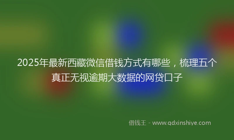 2025年最新西藏微信借钱方式有哪些，梳理五个真正无视逾期大数据的网贷口子