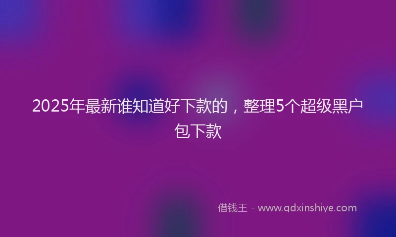 2025年最新谁知道好下款的，整理5个超级黑户包下款