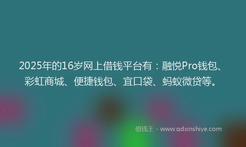 2025年的16岁网上借钱平台有：融悦Pro钱包、彩虹商城、便捷钱包、宜口袋、蚂蚁微贷等。