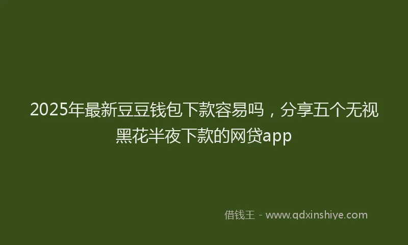 2025年最新豆豆钱包下款容易吗，分享五个无视黑花半夜下款的网贷app