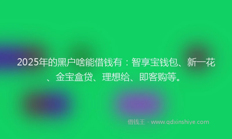 2025年的黑户啥能借钱有：智享宝钱包、新一花、金宝盒贷、理想给、即客购等。